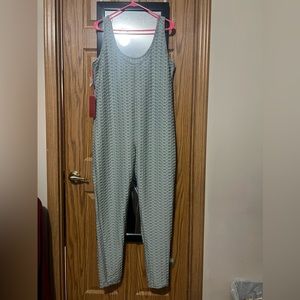 Woman’s Plus Size 2x Mint Green Bodysuit NWT